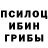 Бошки Шишки гибрид Intzo