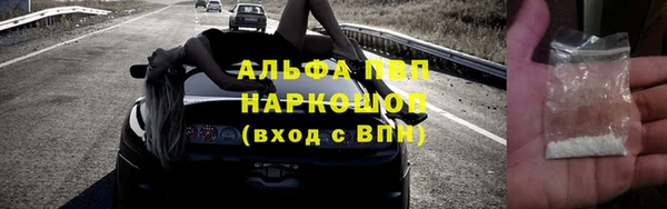 гидра Арсеньев