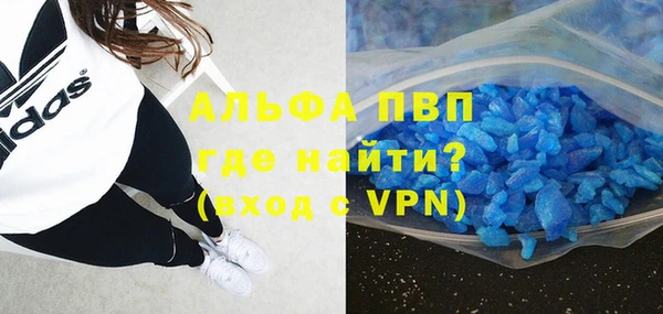 сатива Аркадак