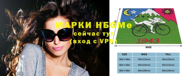 сатива Аркадак