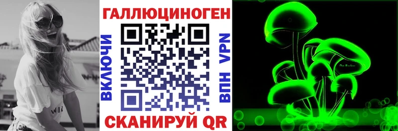 Псилоцибиновые грибы Psilocybe  Приморск 