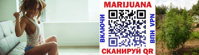 где продают   Приморск  Бошки марихуана THC 21% 